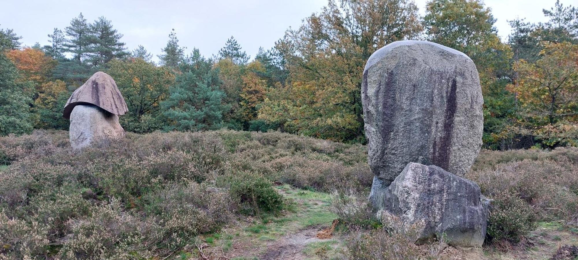 Mooi Drenthe Villa Wezuperbrug Dış mekan fotoğraf